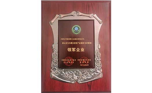 內蒙古優(yōu)勢產(chǎn)業(yè)集群（馬鈴薯類）領軍企業(yè)
